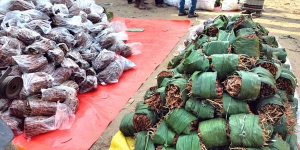 পাহাড়ের অর্থনীতিতে ভূমিকা রাখছে ‘তেঁতুল’
